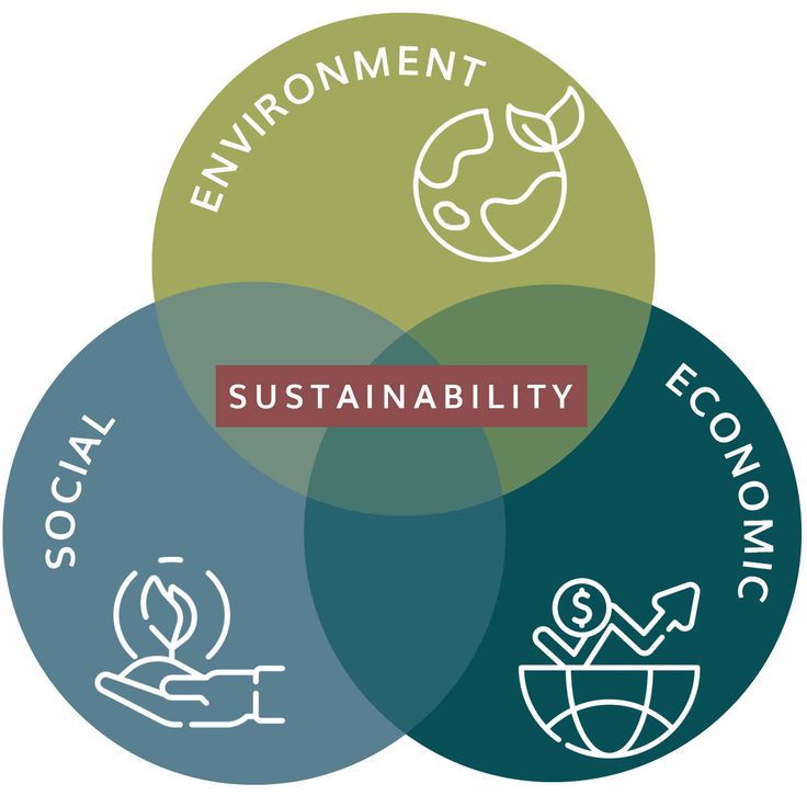Sustainability at Ollins