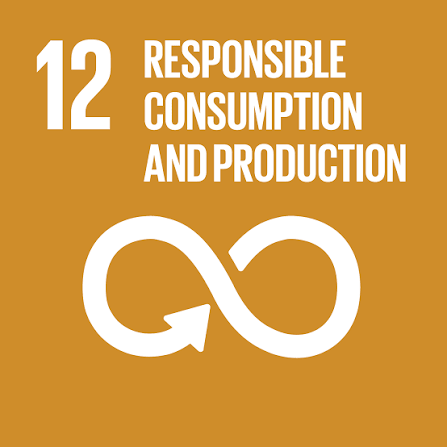 SDG 12 – Responsible Consumption and Production